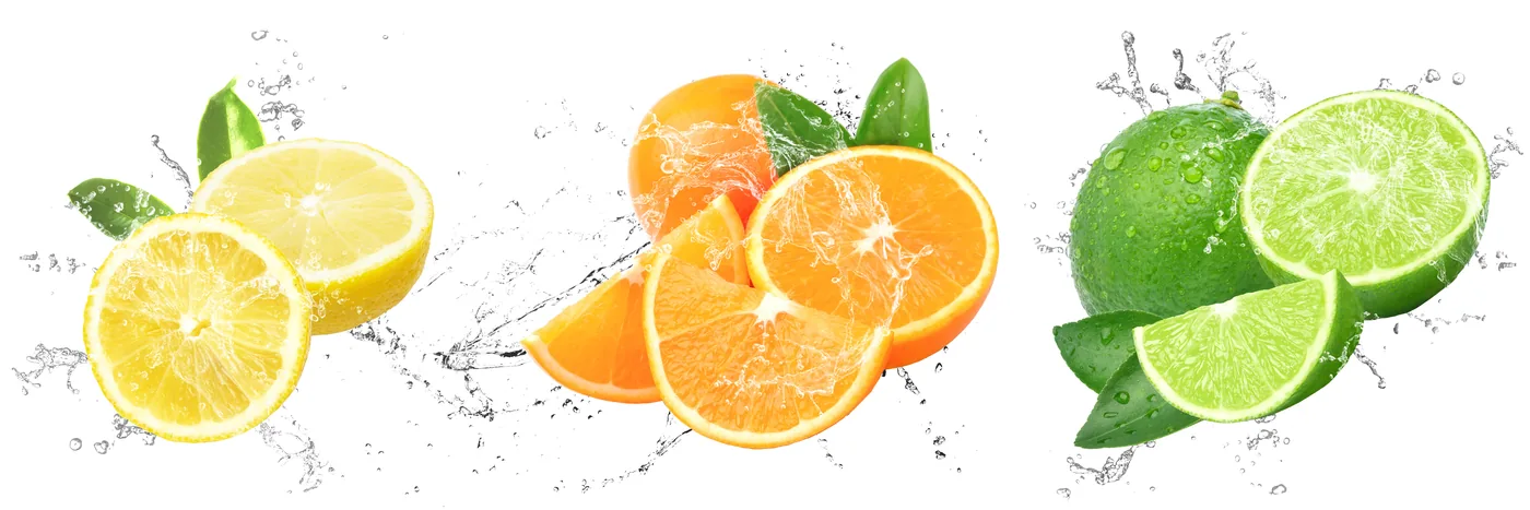 Lemon, orange and lime halves suspended in splashing water on a white background